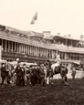 Old Racecourse Postcard